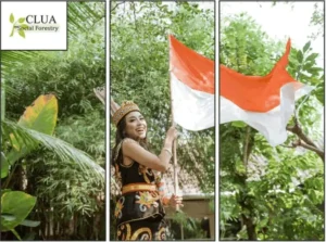 Penguatan Kapasitas Kelembagaan Masyarakat Adat (Marena, Orong, Tangsa)